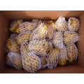 Wholesale preço de batata doce orgânica